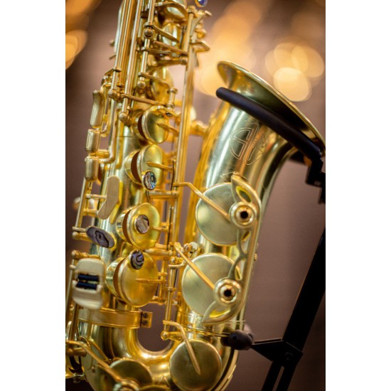 Eb Alto Saxophone - SL Unlacquered Gold