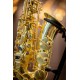 Eb Alto Saxophone - SL Unlacquered Gold